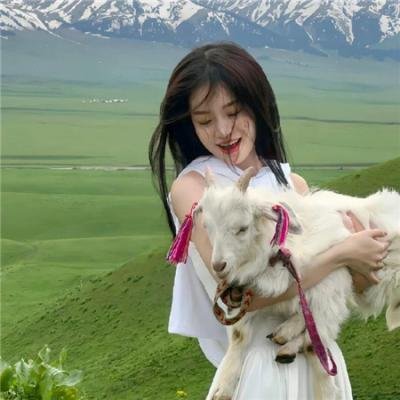公猫
