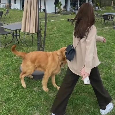 警视厅遗失物搜查档案