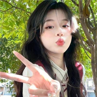 狮子王3